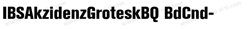 IBSAkzidenzGroteskBQ BdCnd字体转换